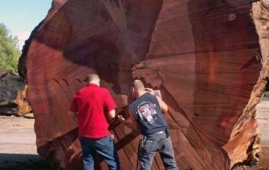 Паркет из мербау. О качествах этой древесины