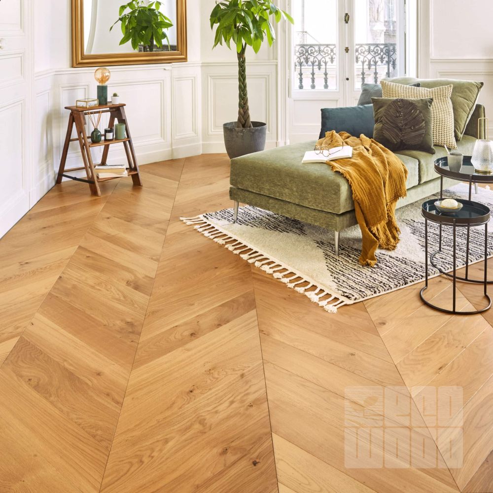 Французька ялинка Дуб Бісквіт