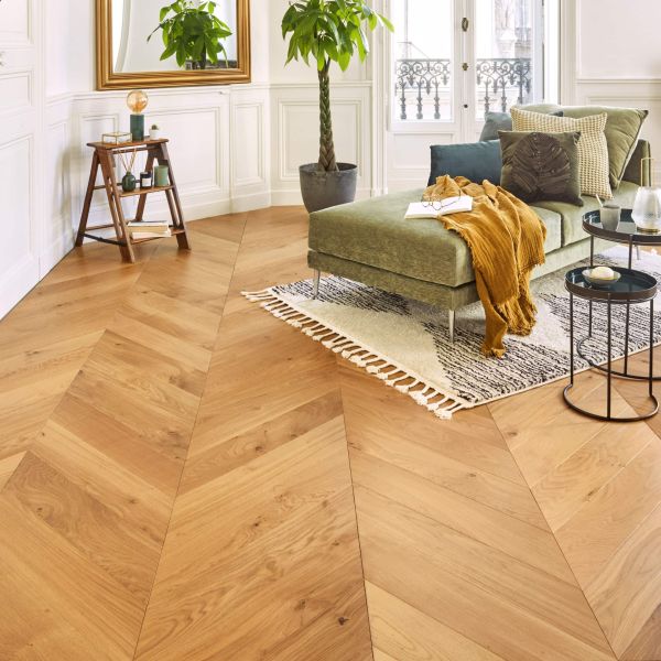 Французька ялинка Дуб Бісквіт