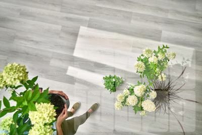 Arbiton Дуб Вайтрик CW175 Виниловый ламинат SPC