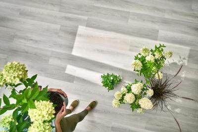 Arbiton Дуб Вайтрик DW175 Виниловый ламинат SPC