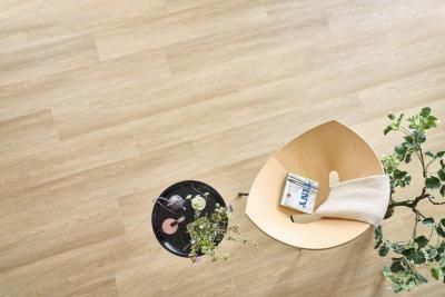 Arbiton Дуб Рокфорд DW179 Виниловый ламинат SPC