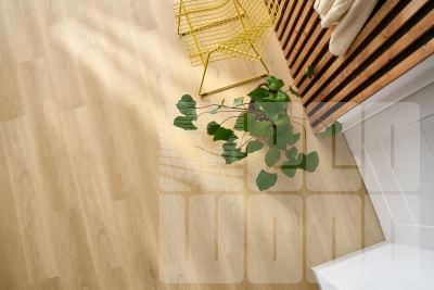 Arbiton Дуб Голман CW182 Виниловый ламинат SPC