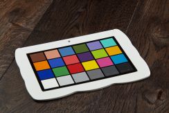 Англійська ялинка Дуб Терра Нова