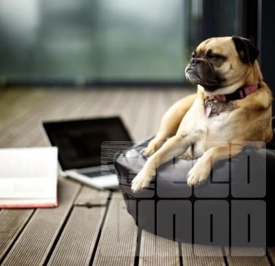 Профілактичний догляд