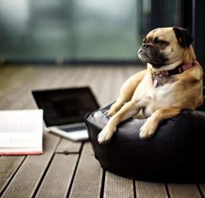 Профілактичний догляд